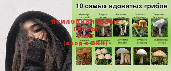 бутик Богданович