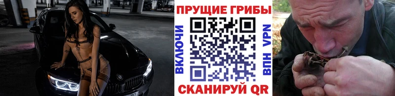 как найти закладки  shop формула  Галлюциногенные грибы Psilocybe  Казань 