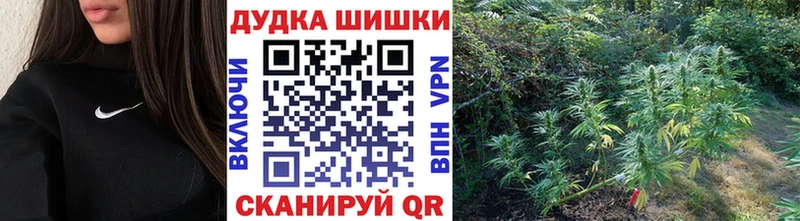Каннабис план  мега зеркало  Казань 